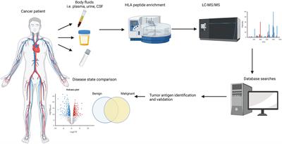 Soluble HLA peptidome: A new resource for cancer biomarkers